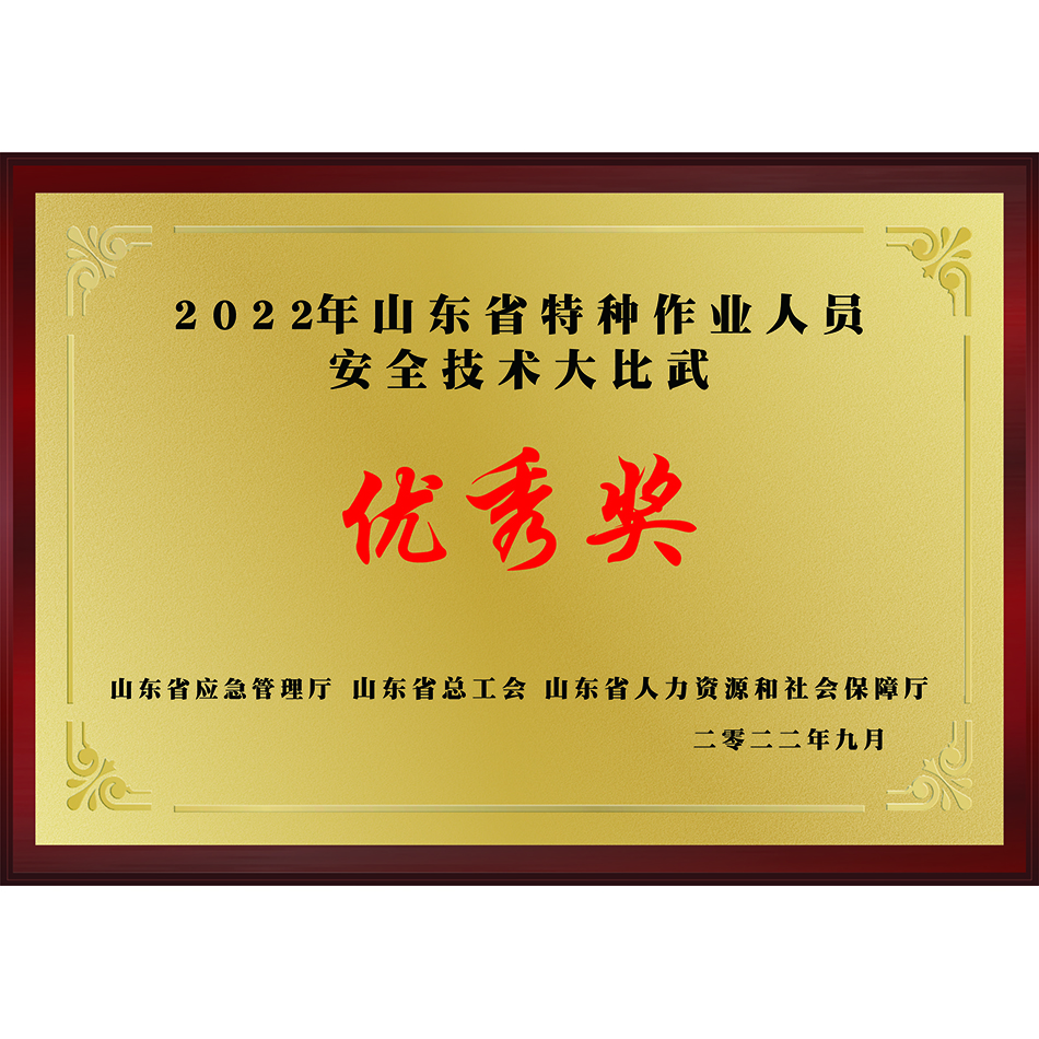 2022年山东省特种作业人员优秀奖