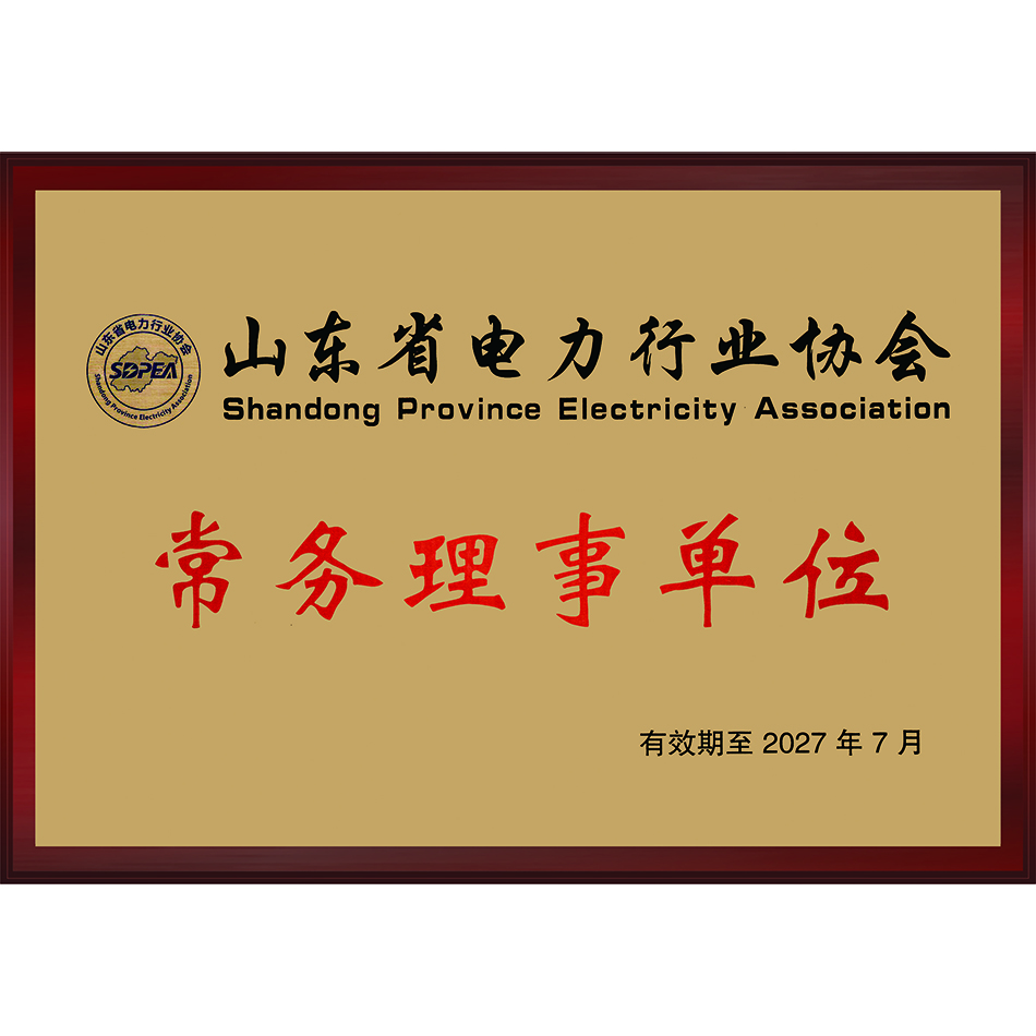山东省电力行业协会常务理事单位